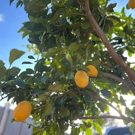 Lägenhet Shpija Zani I Nans Lezhë