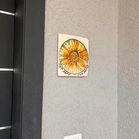 Shpija Zani I Nans Lezhë