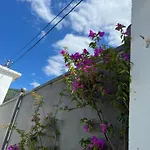 Shpija Zani I Nans Lezhë