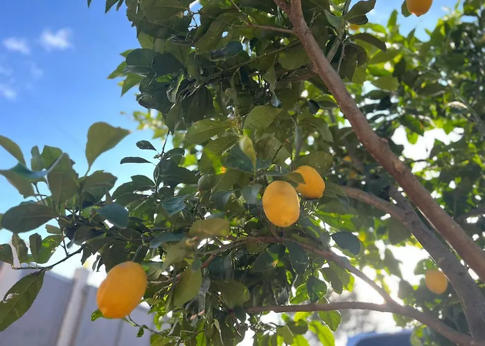 Appartement Shpija Zani I Nans Lezhë